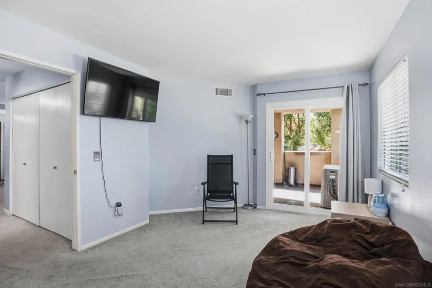 11115 Affinity Court #3 photo 16