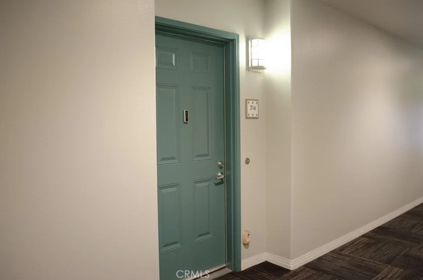 931 E Walnut Street #316 photo 31