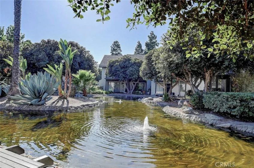 322 Orange Blossom photo 19