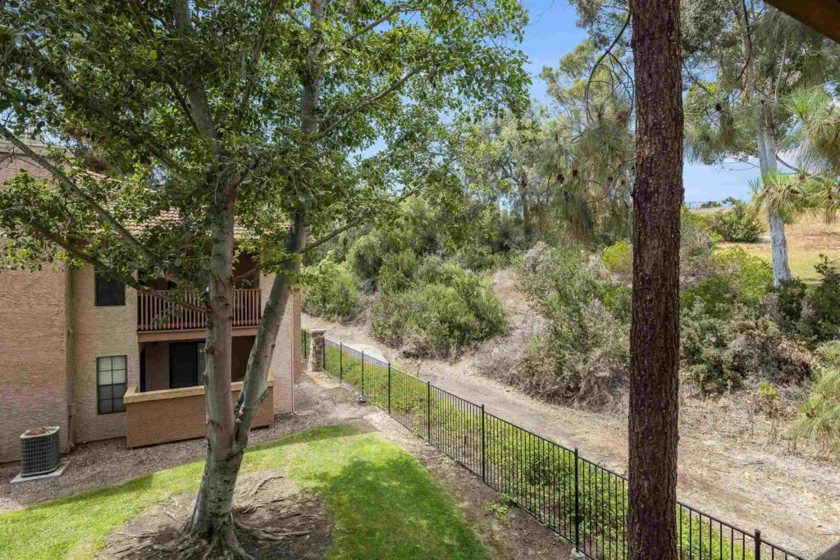 12051 Alta Carmel Court #208 photo 35