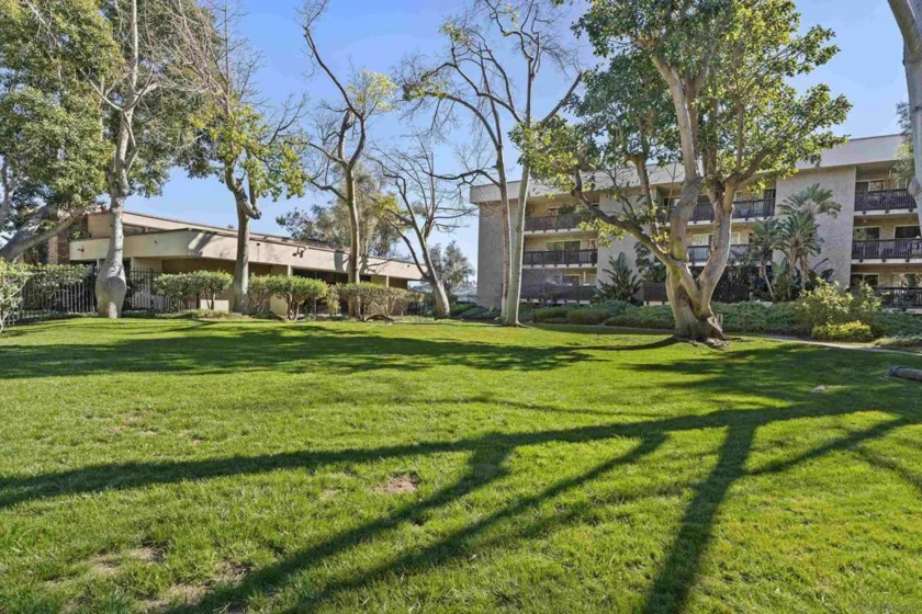 6406 Friars #338 photo 17