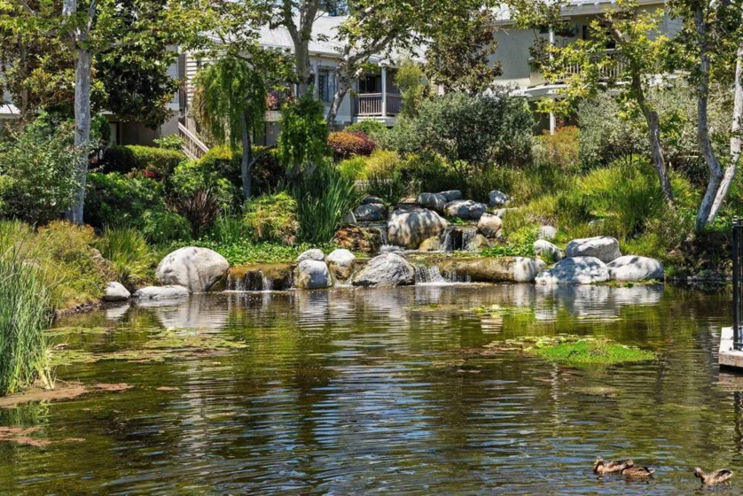 12245 Carmel Vista #290 photo 18