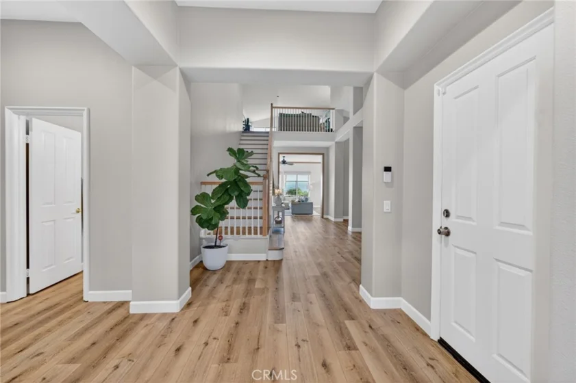35685 Abelia photo 57