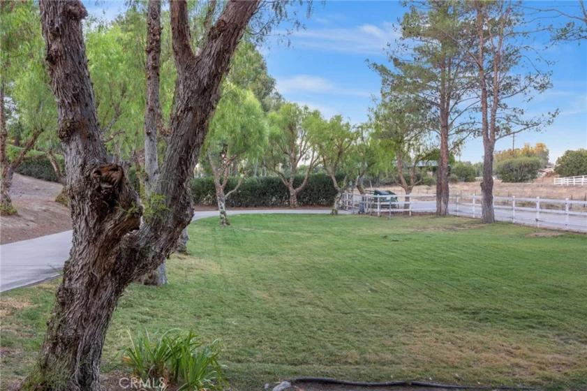 42761 Juniper photo 57