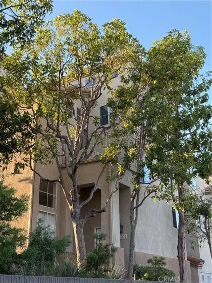8310 Atlanta #205 photo 1