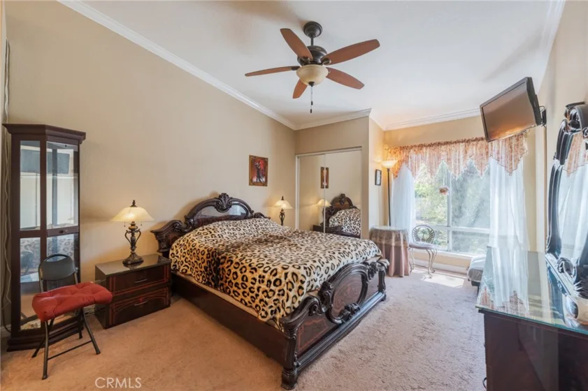 38 Carnation photo 15