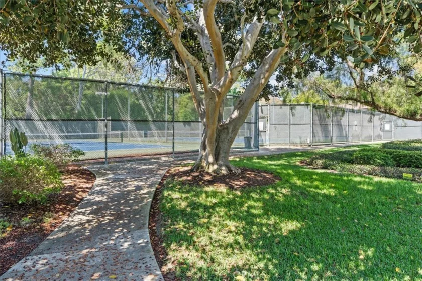 208 Springview photo 36