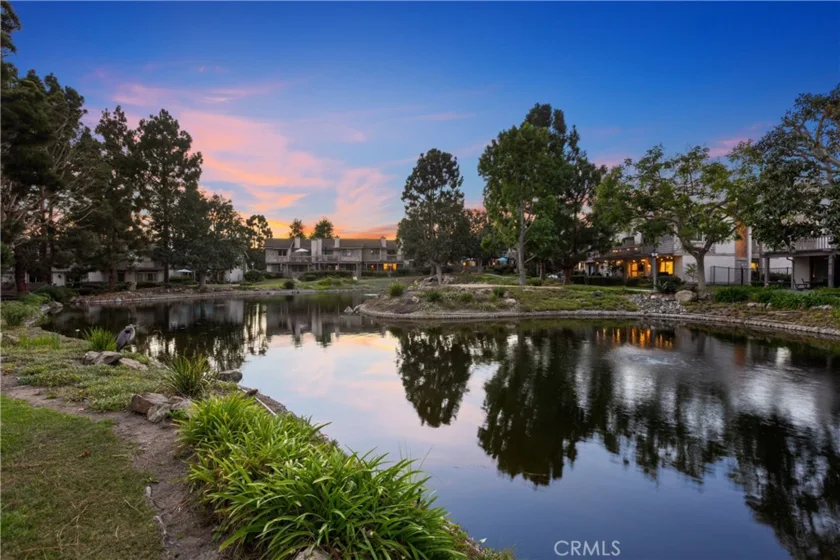 26972 Mill Pond Road #30 photo 30