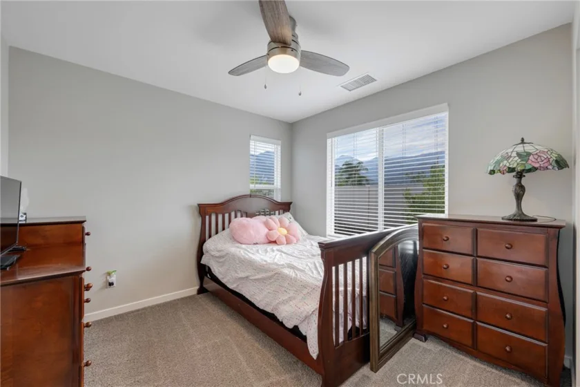 24581 Sonieta Court photo 23