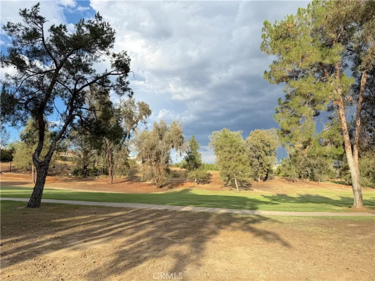 38974 Paseo De Oro photo 43