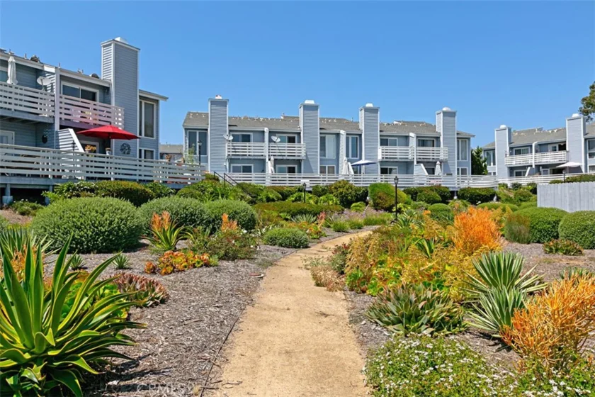 33611 Dana Vista Drive #31 photo 18