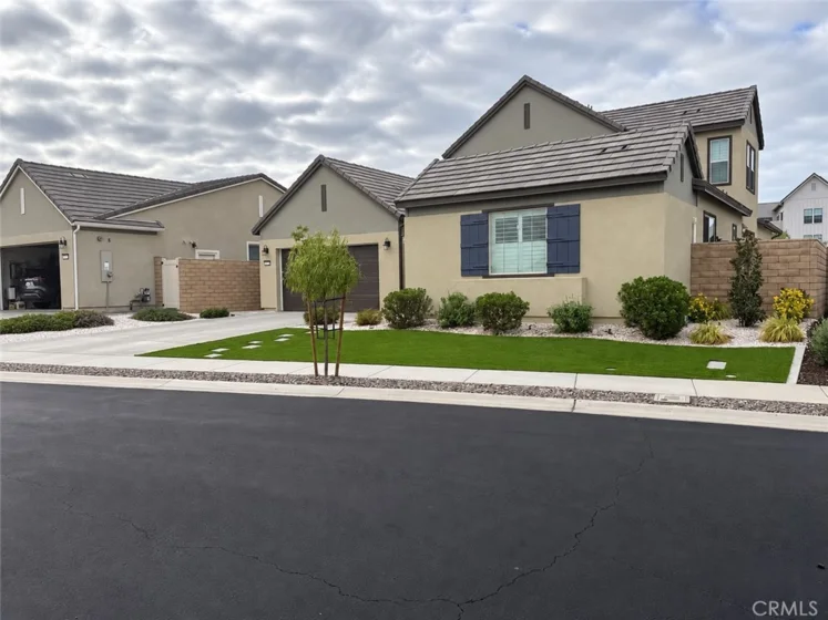 32229 Olea photo 2
