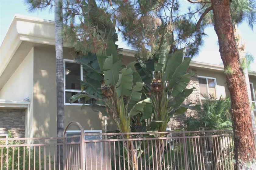 792 Avocado Avenue #7 photo 1