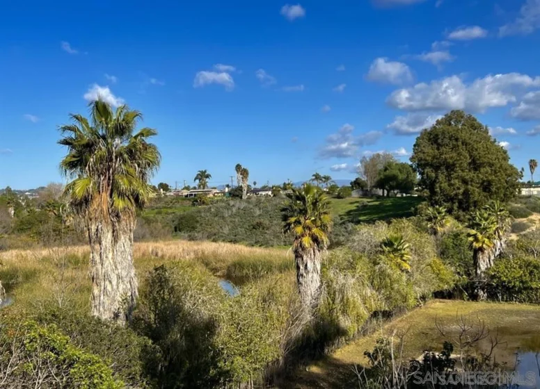 526 Calle Montecito #140 photo 8