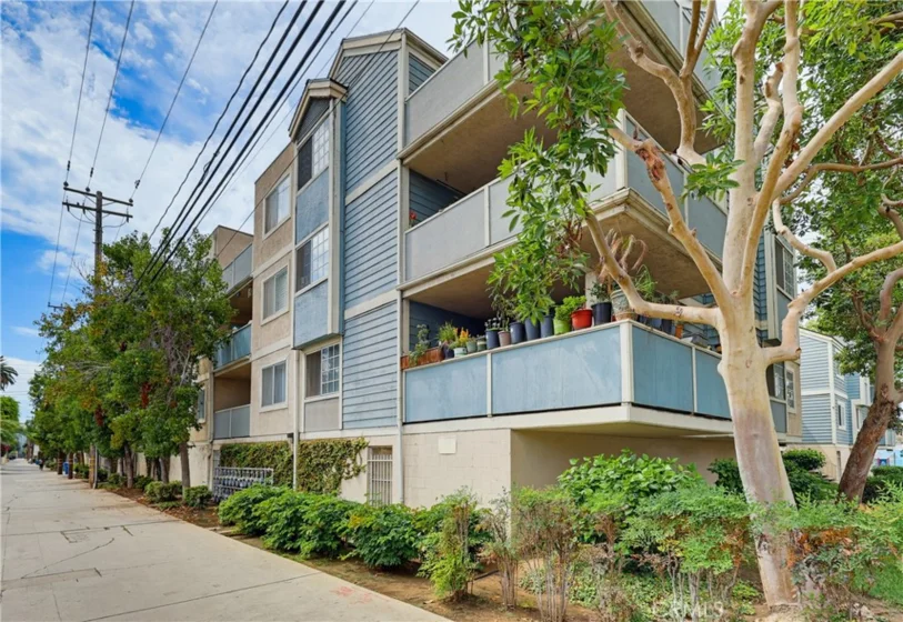 628 Daisy Avenue #222 photo 43