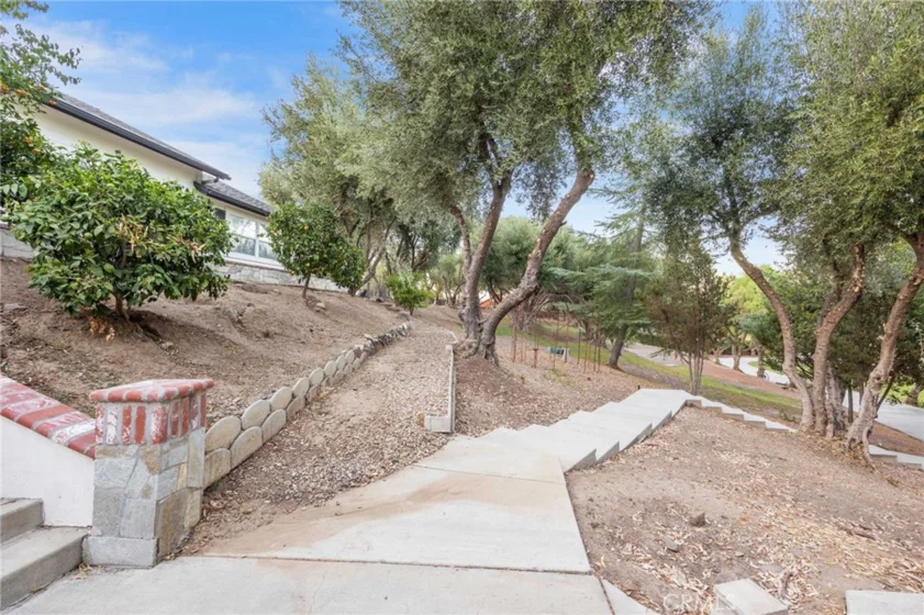 42761 Juniper photo 5