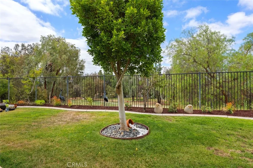 29533 Branwin Street photo 58