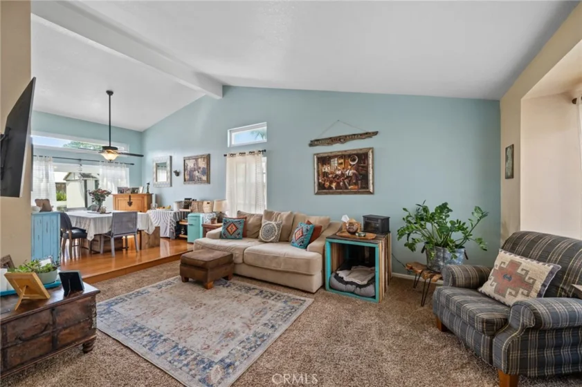 25401 Lacebark photo 7