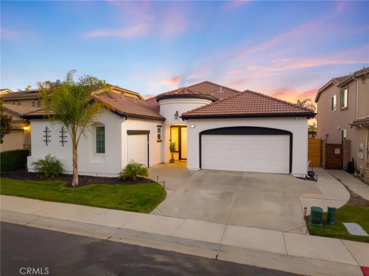 35685 Abelia photo 24