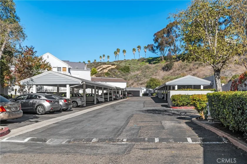 34264 Camino Capistrano #309 photo 18