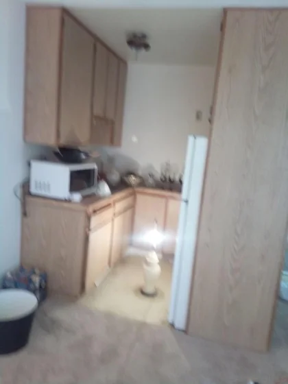 3776 Alabama Street #C304 photo 3