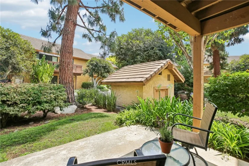 288 Tangelo photo 35