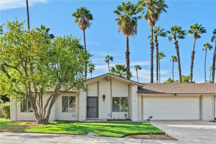 6631 Wintertree Drive photo 3