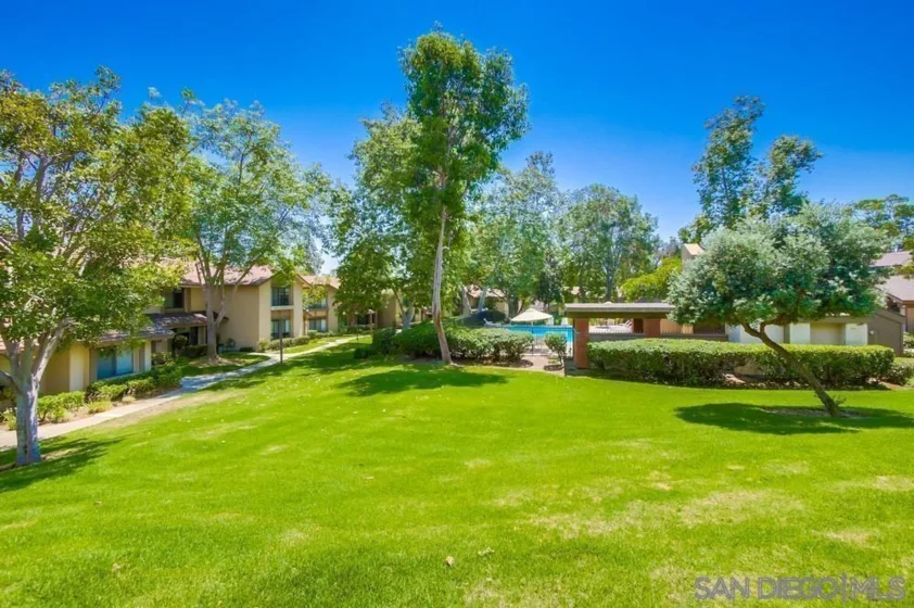 9810 Guisante Terrace photo 26