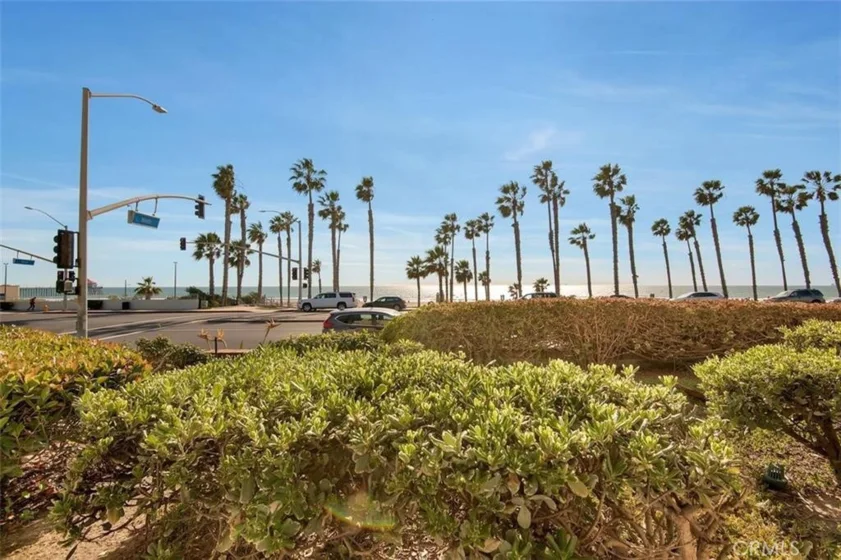 900 Pacific Coast photo 16