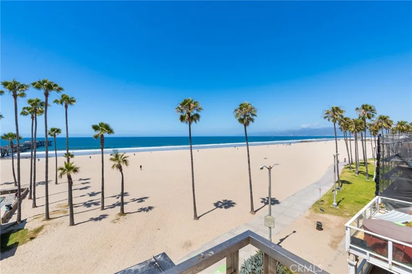 3009 Ocean Front Walk photo 39