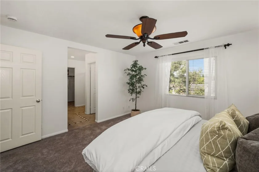 140 W Cork Tree photo 22