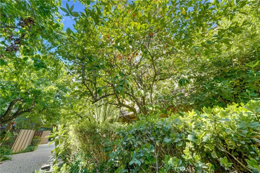 15053 Sherman Way #C photo 37