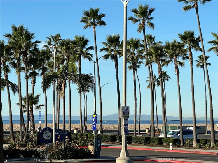 600 E Oceanfront 1d photo 22