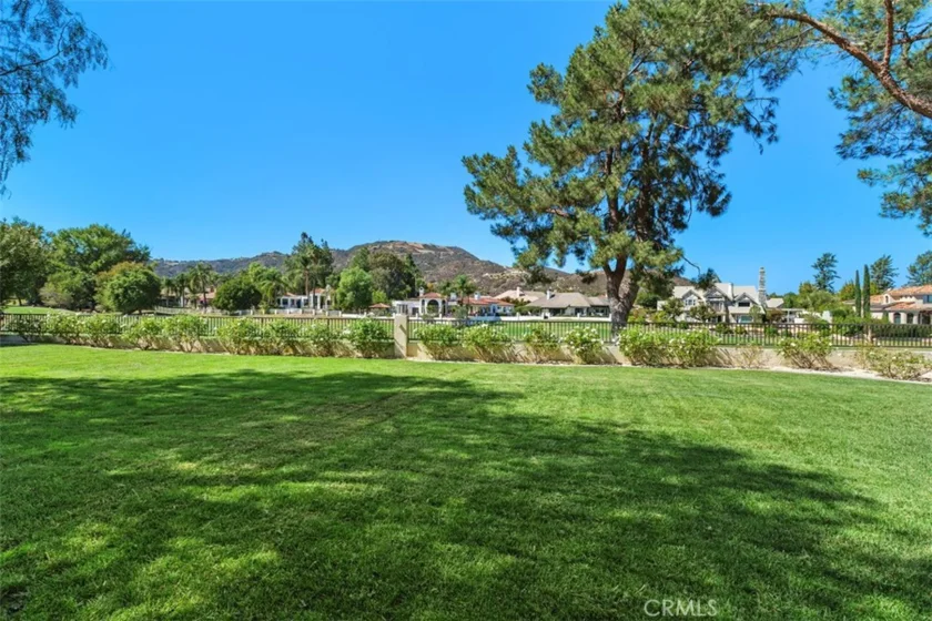 38125 Braemar Court photo 43