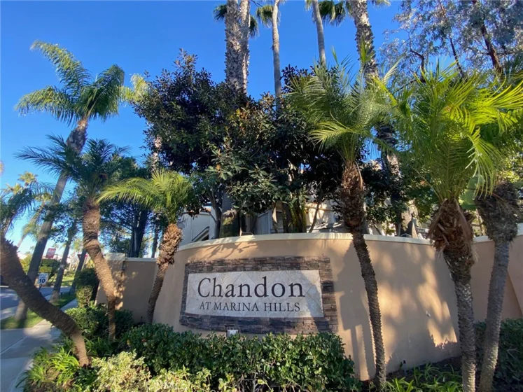 29 Chandon photo 1