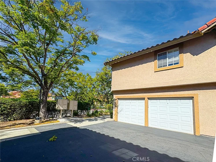 28 Blue Oak #96 photo 16