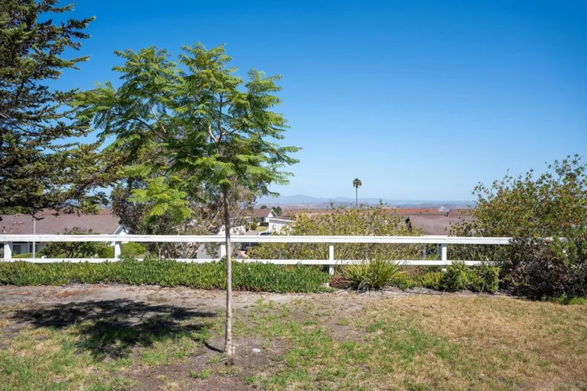 3685 N Vista Campana #5 photo 5