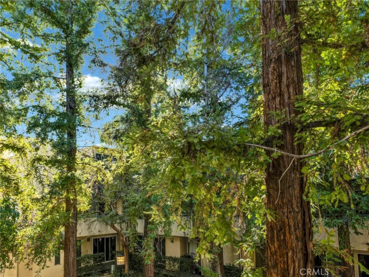 7800 Topanga Canyon Boulevard #216 photo 23