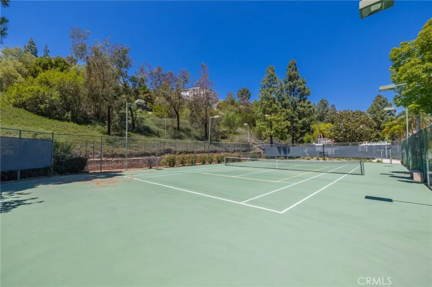 27835 Tamara Drive photo 54
