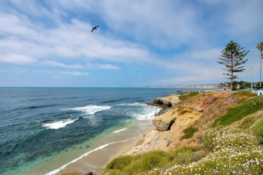 939 Coast #11 B photo 14