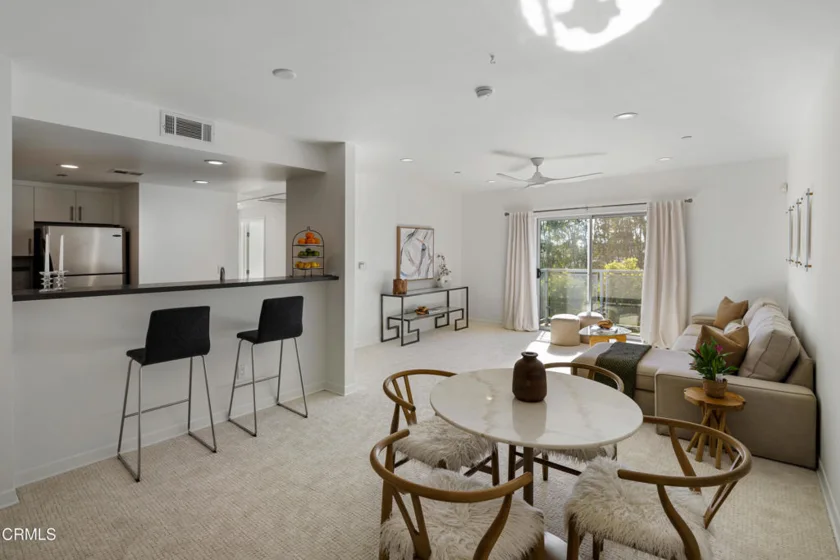 159 W Green Street #502A photo 37
