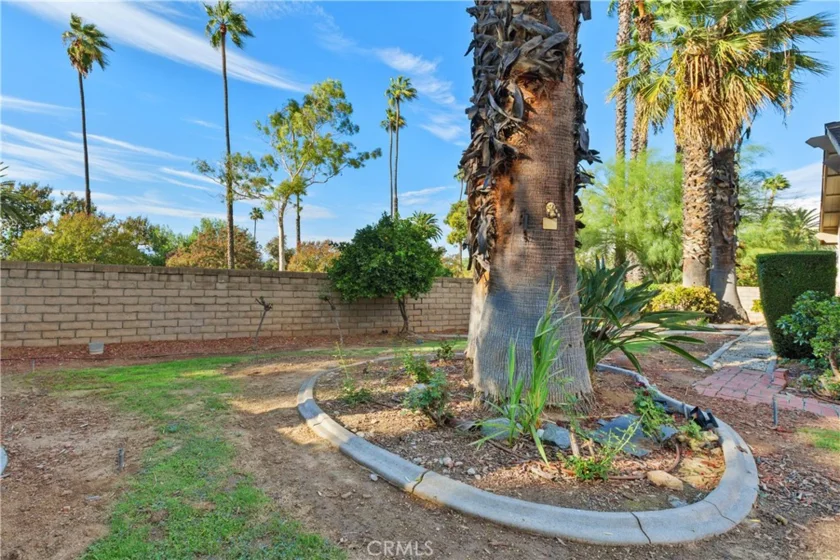 6631 Wintertree Drive photo 36