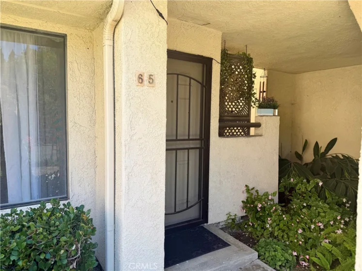65 Largo photo 5