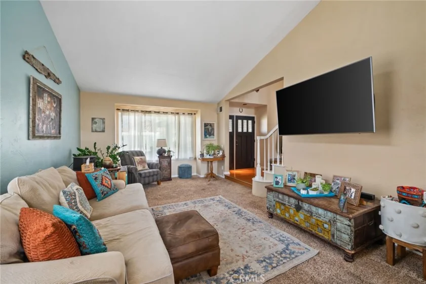 25401 Lacebark photo 19