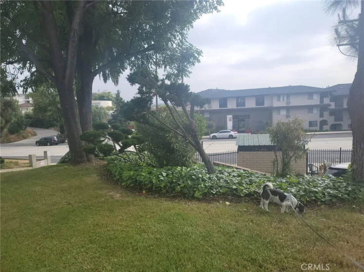 1818 Garvey Avenue #B photo 28