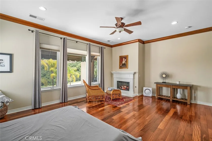 36505 Calle De Lobo photo 23