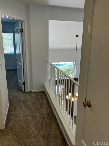 13626 Jadestone Way photo 23