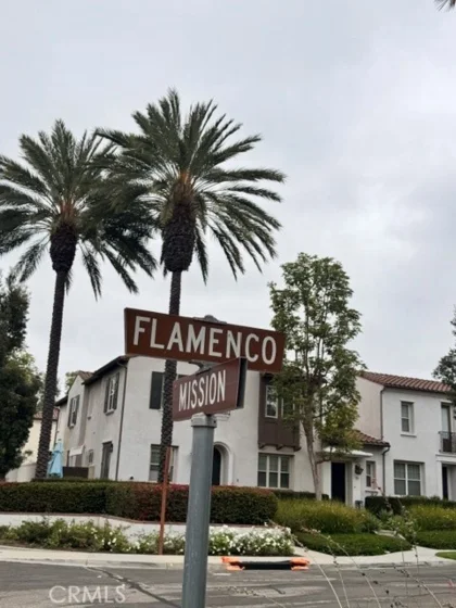 55 Flamenco photo 63