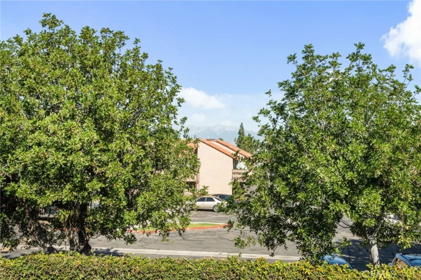 1305 Brentwood Circle #D photo 9