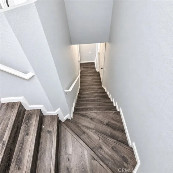 21128 Gladiolos photo 8